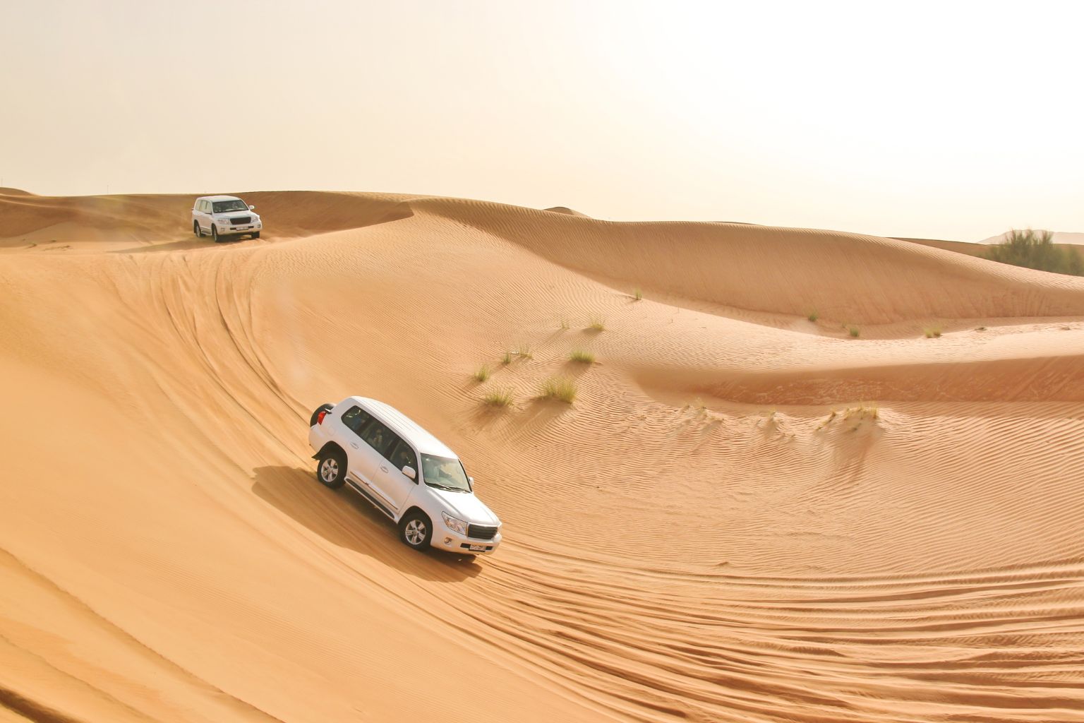 Dune Bashing