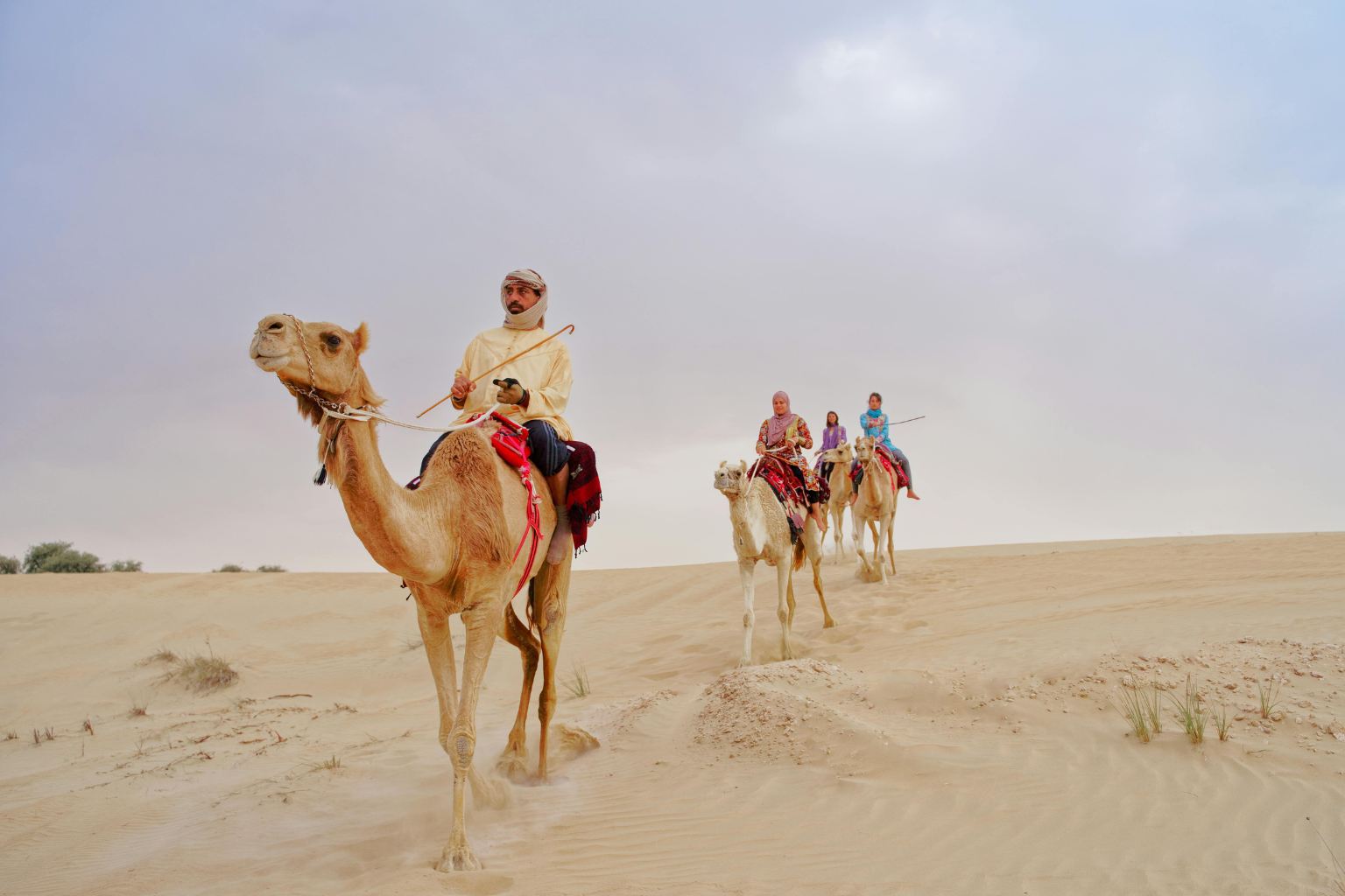 Desert Adventures